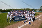 Baseball vs Babson  Wheaton College Baseball players celebrate their victory over Babson to win the NEWMAC Championship for the third year in a row. - (Photo by Keith Nordstrom) : Wheaton, baseball, NEWMAC